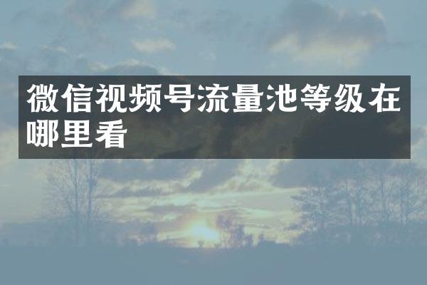 微信视频号流量池等级在哪里看