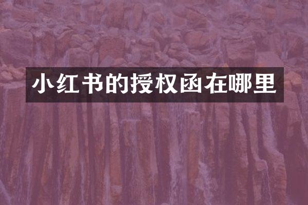 小红书的授权函在哪里