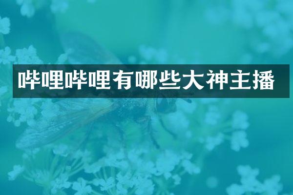 哔哩哔哩有哪些大神主播