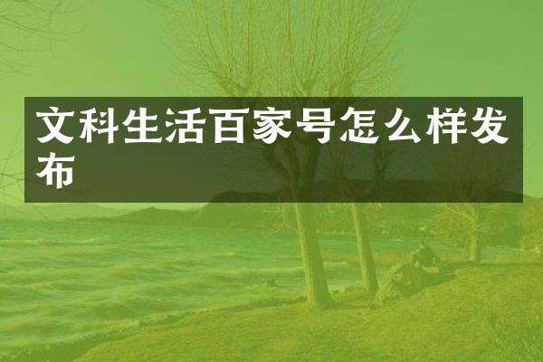 文科生活百家号怎么样发布