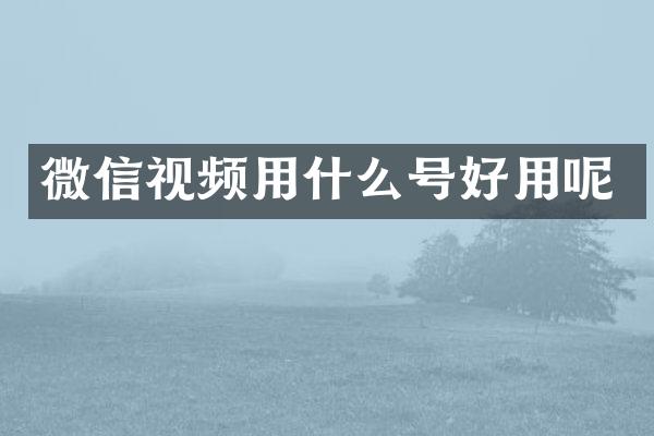 微信视频用什么号好用呢