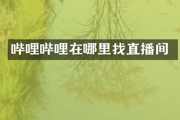 哔哩哔哩在哪里找直播间