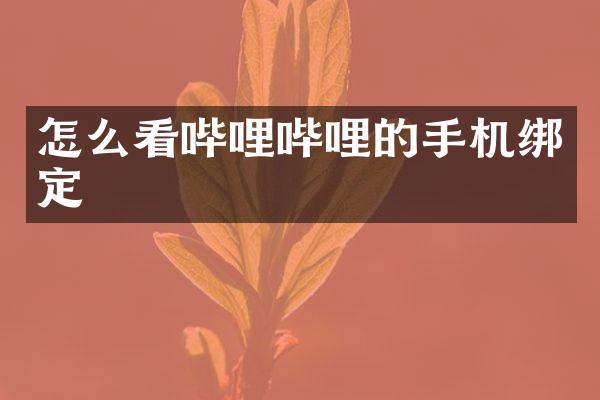 怎么看哔哩哔哩的手机绑定