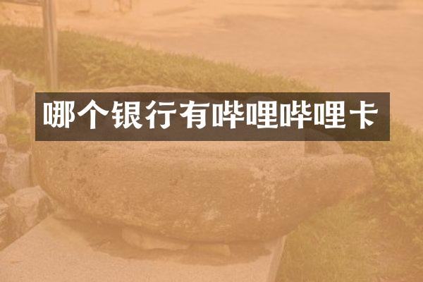 哪个银行有哔哩哔哩卡