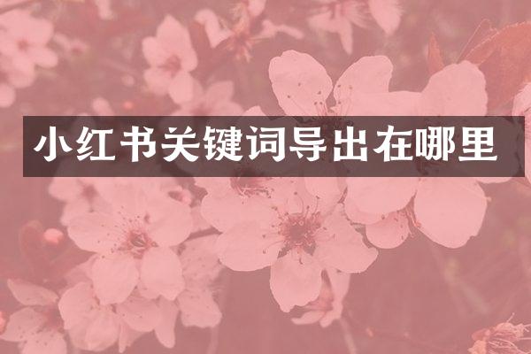小红书关键词导出在哪里