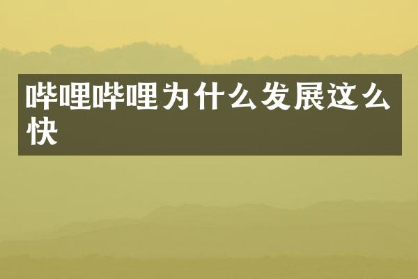 哔哩哔哩为什么发展这么快
