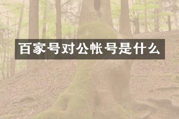 百家号对公帐号是什么