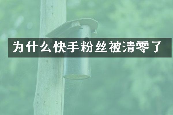 为什么快手粉丝被清零了
