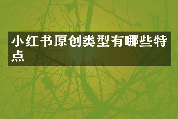 小红书原创类型有哪些特点
