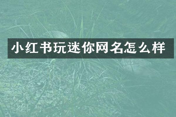 小红书玩迷你网名怎么样