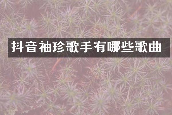 抖音袖珍歌手有哪些歌曲