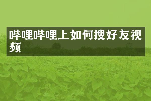 哔哩哔哩上如何搜好友视频