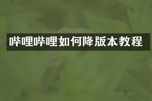 哔哩哔哩如何降版本教程