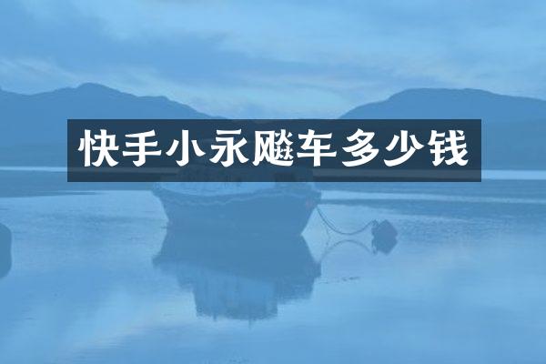 快手小永飚车多少钱
