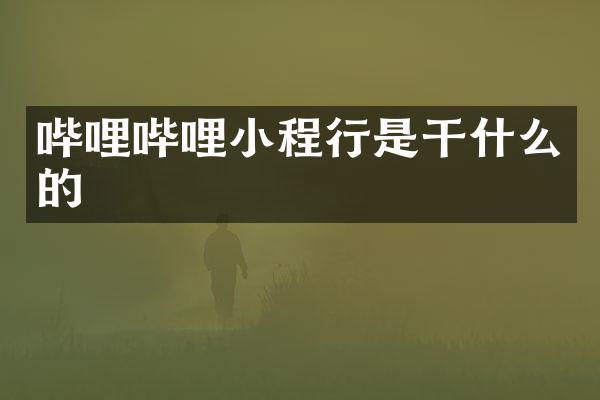 哔哩哔哩小程行是干什么的
