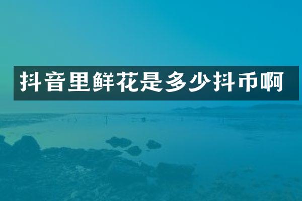 抖音里鲜花是多少抖币啊