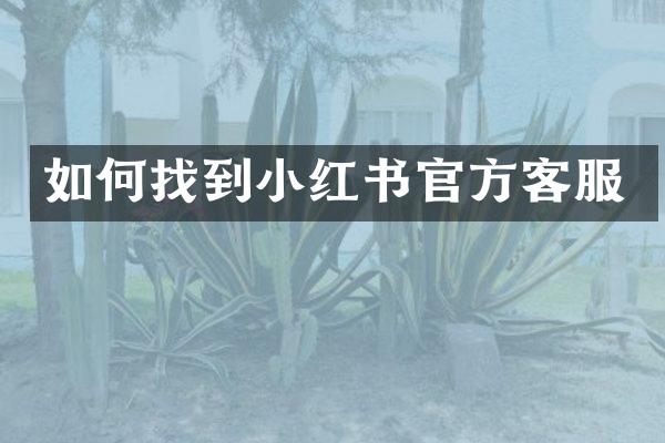 如何找到小红书官方客服