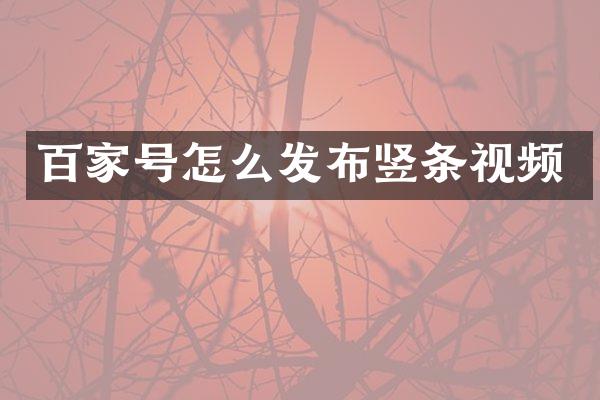 百家号怎么发布竖条视频