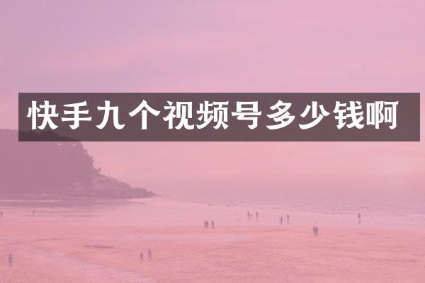 快手九个视频号多少钱啊