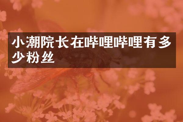 小潮院长在哔哩哔哩有多少粉丝