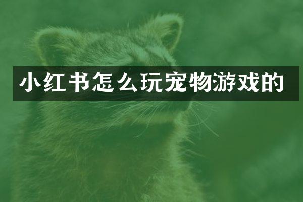 小红书怎么玩宠物游戏的