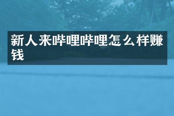 新人来哔哩哔哩怎么样赚钱