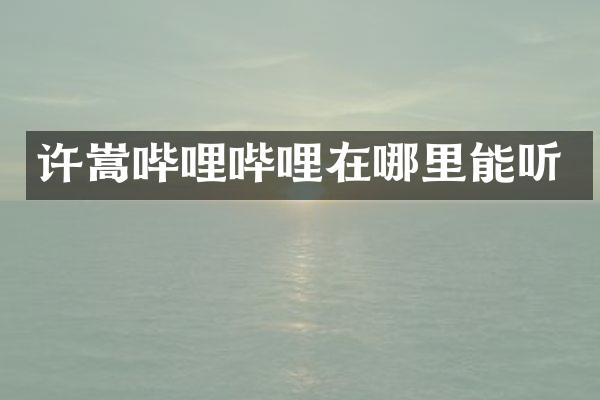 许嵩哔哩哔哩在哪里能听