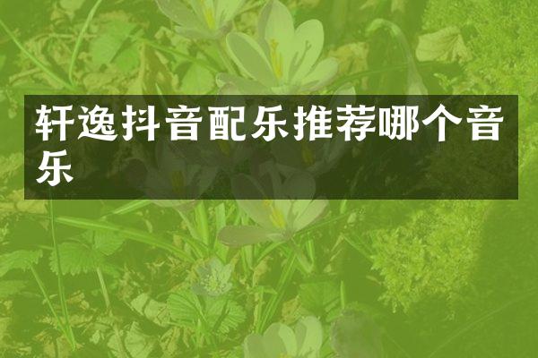 轩逸抖音配乐推荐哪个音乐