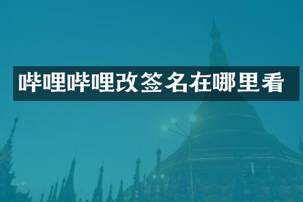 哔哩哔哩改签名在哪里看