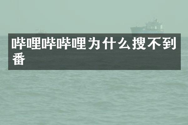 哔哩哔哔哩为什么搜不到番