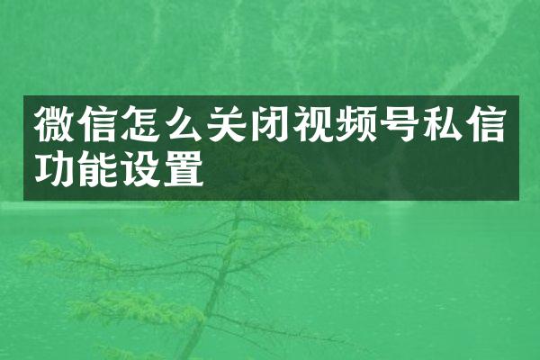 微信怎么关闭视频号私信功能设置