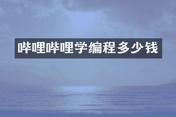 哔哩哔哩学编程多少钱