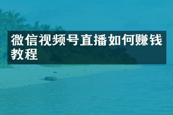 微信视频号直播如何赚钱教程