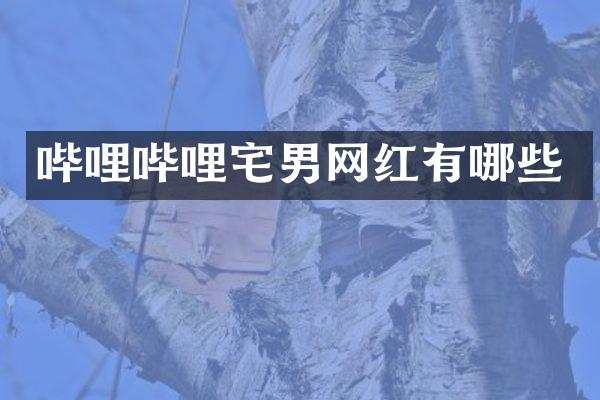 哔哩哔哩宅男网红有哪些