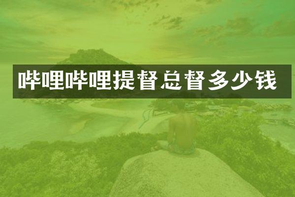 哔哩哔哩提督总督多少钱