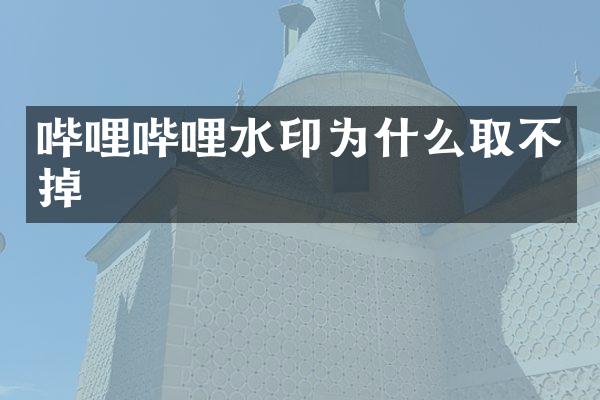 哔哩哔哩水印为什么取不掉