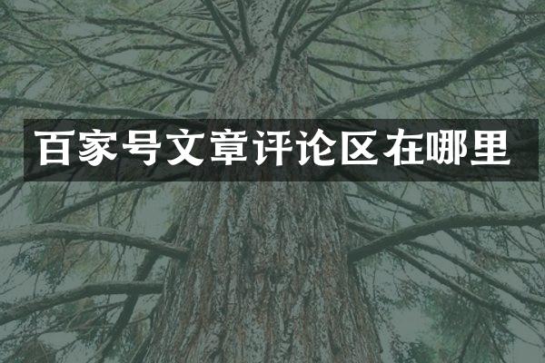 百家号文章评论区在哪里