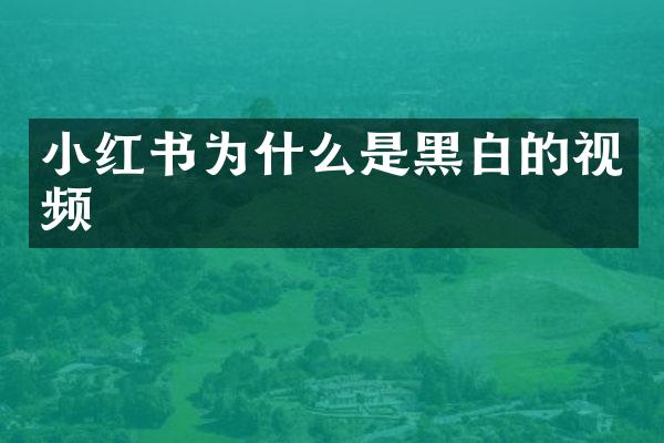 小红书为什么是黑白的视频