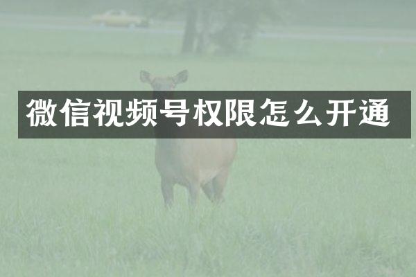 微信视频号权限怎么开通
