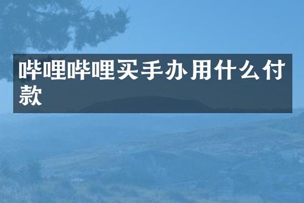哔哩哔哩买手办用什么付款