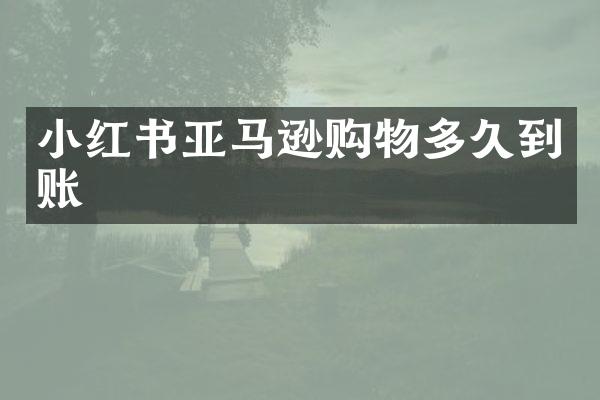 小红书亚马逊购物多久到账