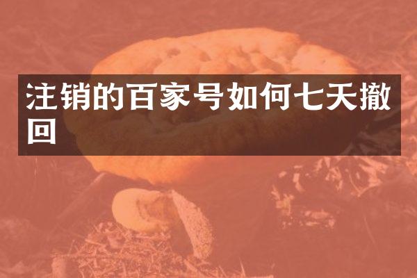 注销的百家号如何七天撤回