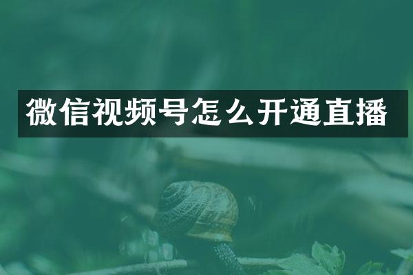 微信视频号怎么开通直播