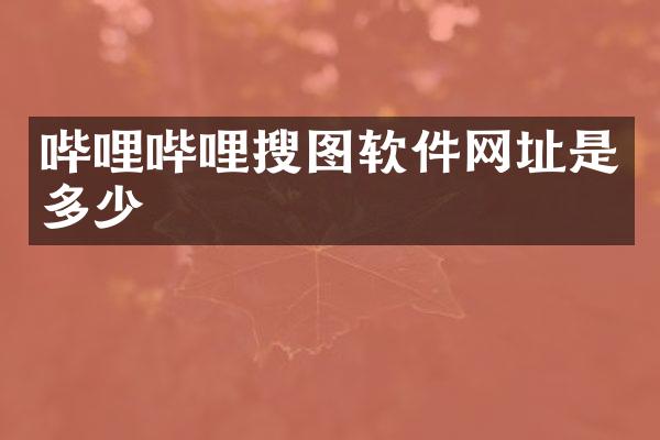 哔哩哔哩搜图软件网址是多少