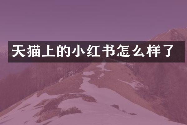 天猫上的小红书怎么样了