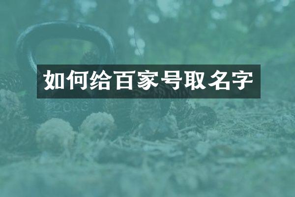 如何给百家号取名字