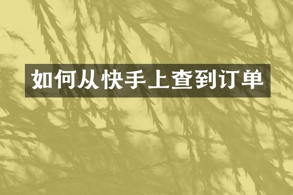 如何从快手上查到订单