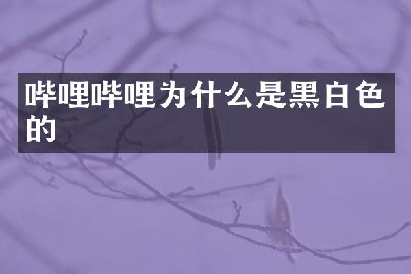 哔哩哔哩为什么是黑白色的