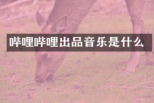 哔哩哔哩出品音乐是什么