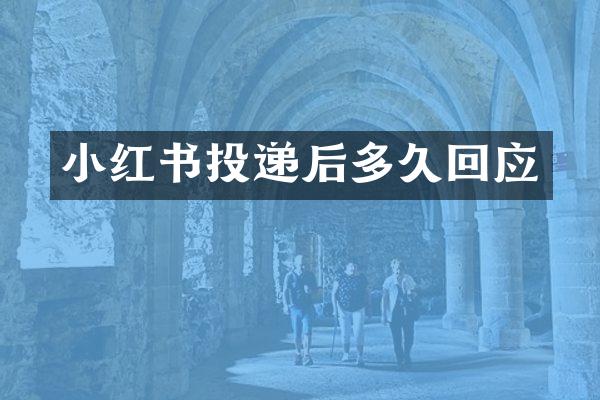 小红书投递后多久回应